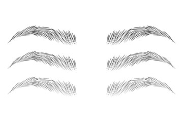 Obraz premium Eyebrow shape set, Brown eyebrow bag, Brown eyebrows isolated on white background, Brown eyebrow vector, Fashion eyebrows of various shapes and types, eyelash