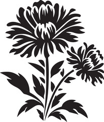 Aster Black And White, Vector Template  for Cutting and Printing