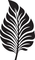 Calathea Leaf Black And White, Vector Template Set for Cutting and Printing