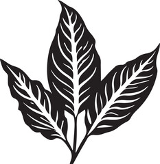Dieffenbachia Leaf Black And White, Vector Template Set for Cutting and Printing