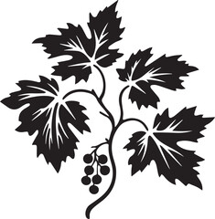 Fototapeta premium Grapevine leaf Black And White, Vector Template Set for Cutting and Printing