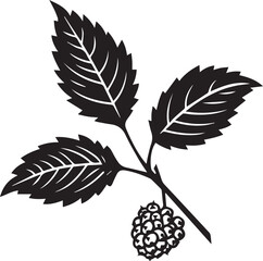 Raspberry Leaf Black And White, Vector Template Set for Cutting and Printing