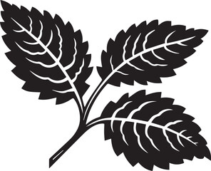 Fototapeta premium Raspberry Leaf Black And White, Vector Template Set for Cutting and Printing