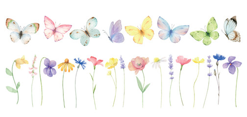 Watercolor set of meadow flowers and colorful butterflies. - 620428495