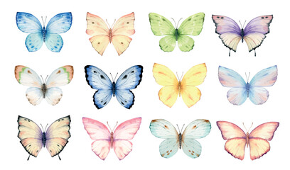 Fototapeta na wymiar Watercolor set of bright hand painted butterflies.