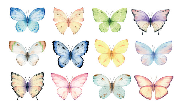 Naklejka Watercolor set of bright hand painted butterflies.