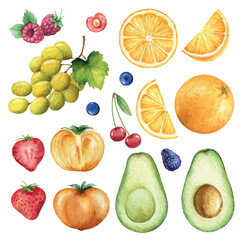 Watercolor vector set of hand painted fruits. Fresh food design elements.