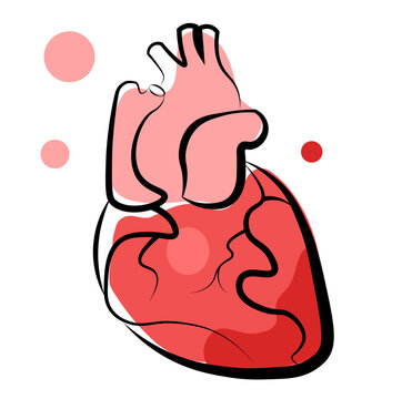 Human heart on a white background. Vector illustration in doodle style