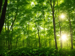 Green forest in the morning