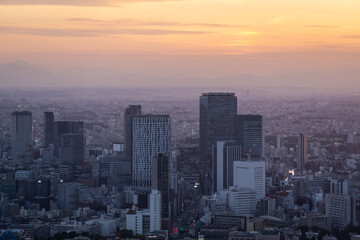 Fototapeta na wymiar Sunset over Shibuya business district skyline in Tokyo, Japan capital city