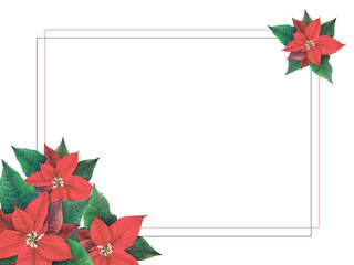 Watercolor illustration frame with red poinsettia flowers in corners. Realistic winter floral hand drawn picture on white background. Red and black lines for postcards, seasonal greetings, wrapping