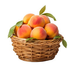 fruits in basket isolated on white