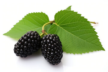 Three organic Mulberry fruits with green leaves isolated on white background. (ai generated)