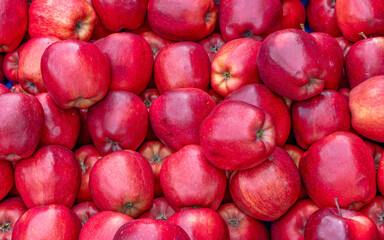 Top view close up of fresh, organic red apples