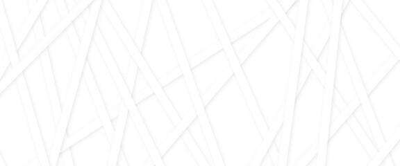 Fototapeta premium Abstract grey and white line geometric corporate design and white background. White and gray abstract luxury background. Abstract modern business technology and communication concept.