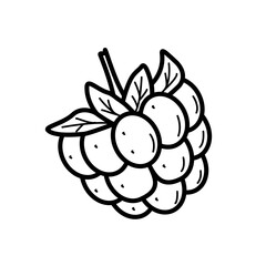 Summer sweet berry raspberry doodle icon. Vector illustration single sketch isolate on white.