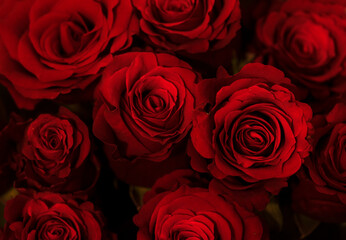 bouquet of red roses