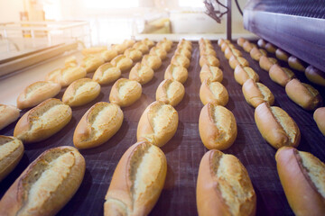 Freshly Baked Bread Straight from the Oven