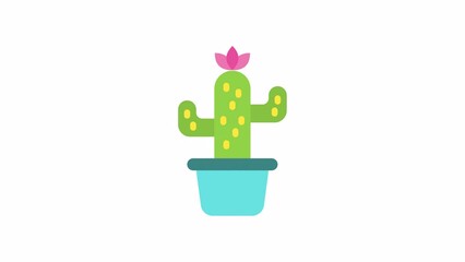 Cactus, Spring animated icon on transparent background.
