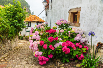 Asturias