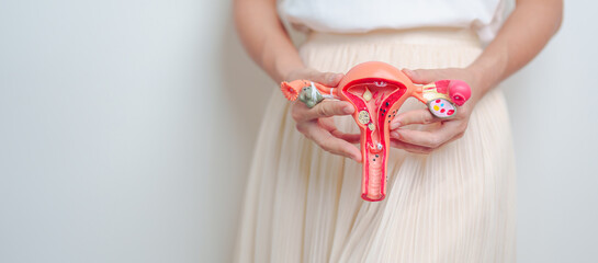 Woman holding Uterus and Ovaries model. Ovarian and Cervical cancer, Endometriosis, Hysterectomy, Uterine fibroids, Reproductive, menstruation, Stomach, Pregnancy and Sexual Transmitted disease - obrazy, fototapety, plakaty