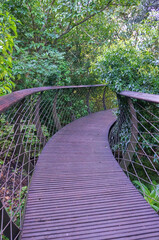 Obraz premium KIRSTENBOSCH NATIONAL BOTANICAL GARDEN
