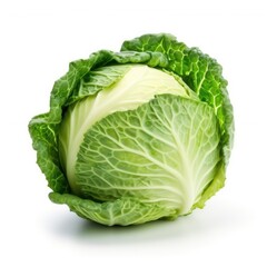 Obraz premium Fresh cabbage vegetable isolated on a white background