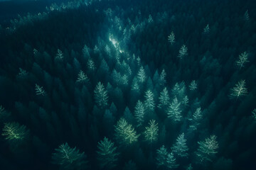 Fototapeta na wymiar night forest top view by AI
