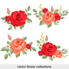 Rose and flower collection  vector for decoration , wedding card , innovation