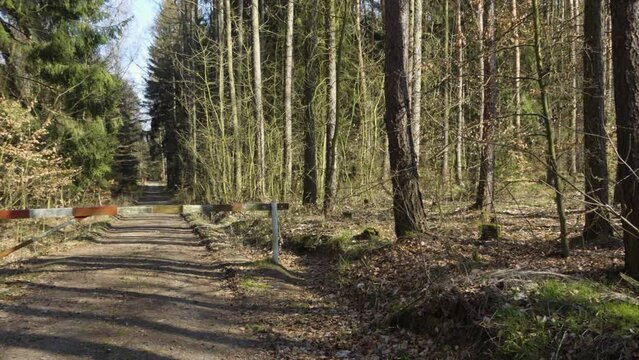 A barrier on a path through a forest