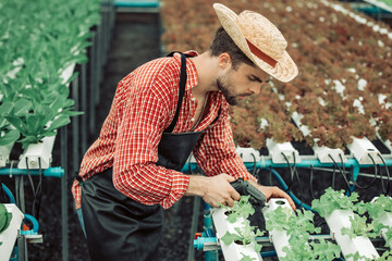 The hydroponic farm owner conducts technical inspection using handy tools to secure, perform...
