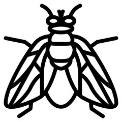 fly bug insect animal