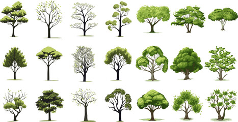 Fototapeta premium tree set graphic clipart design white background.