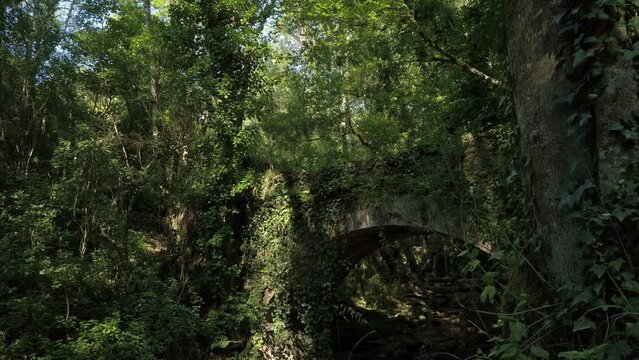 Woman walks over a small arch stone bridge hidden by trees and foliage