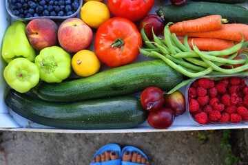 Crate of fresh fruit and vegetable, picked from the garden, and feet in blue sandals. Summer in the garden concept. Top view, unrecognizable person.