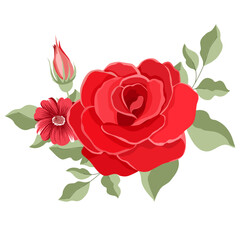 Rose Red  vector for decoration , wedding card , innovation