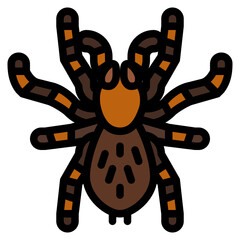 tarantula bug insect animal