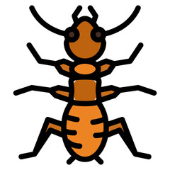 termite bug insect animal