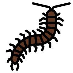 centipede bug insect animal
