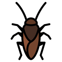 cockroach bug insect animal