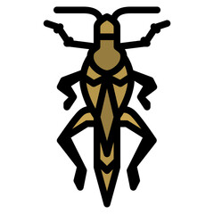 locust bug insect animal