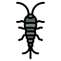silverfish bug insect animal