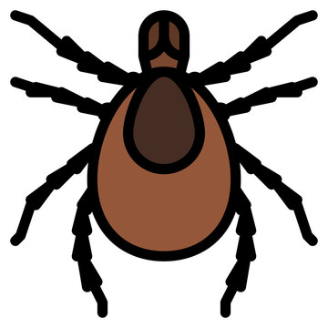 tick bug insect animal