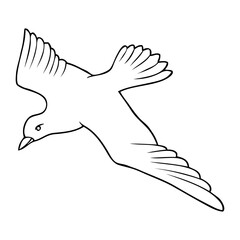 bird outline illustration