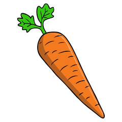 carrot vector illustration