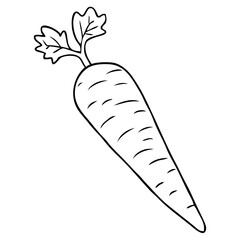 carrot outline vector illustration