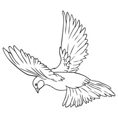 flying bird line vector illustration
