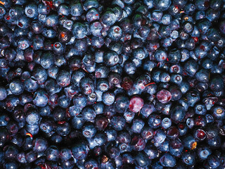 Close up of fresh blueberries.