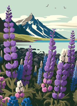 Beautiful landscape with lupines and mountains. Vector illustration.