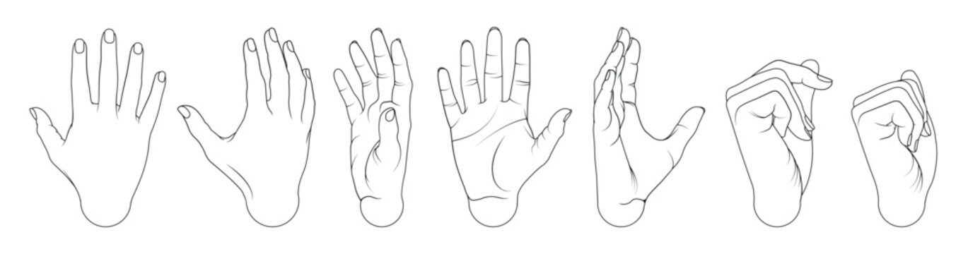 A Collection of Female Hand Poses Animation steps in Various Styles line art vector illustration	
